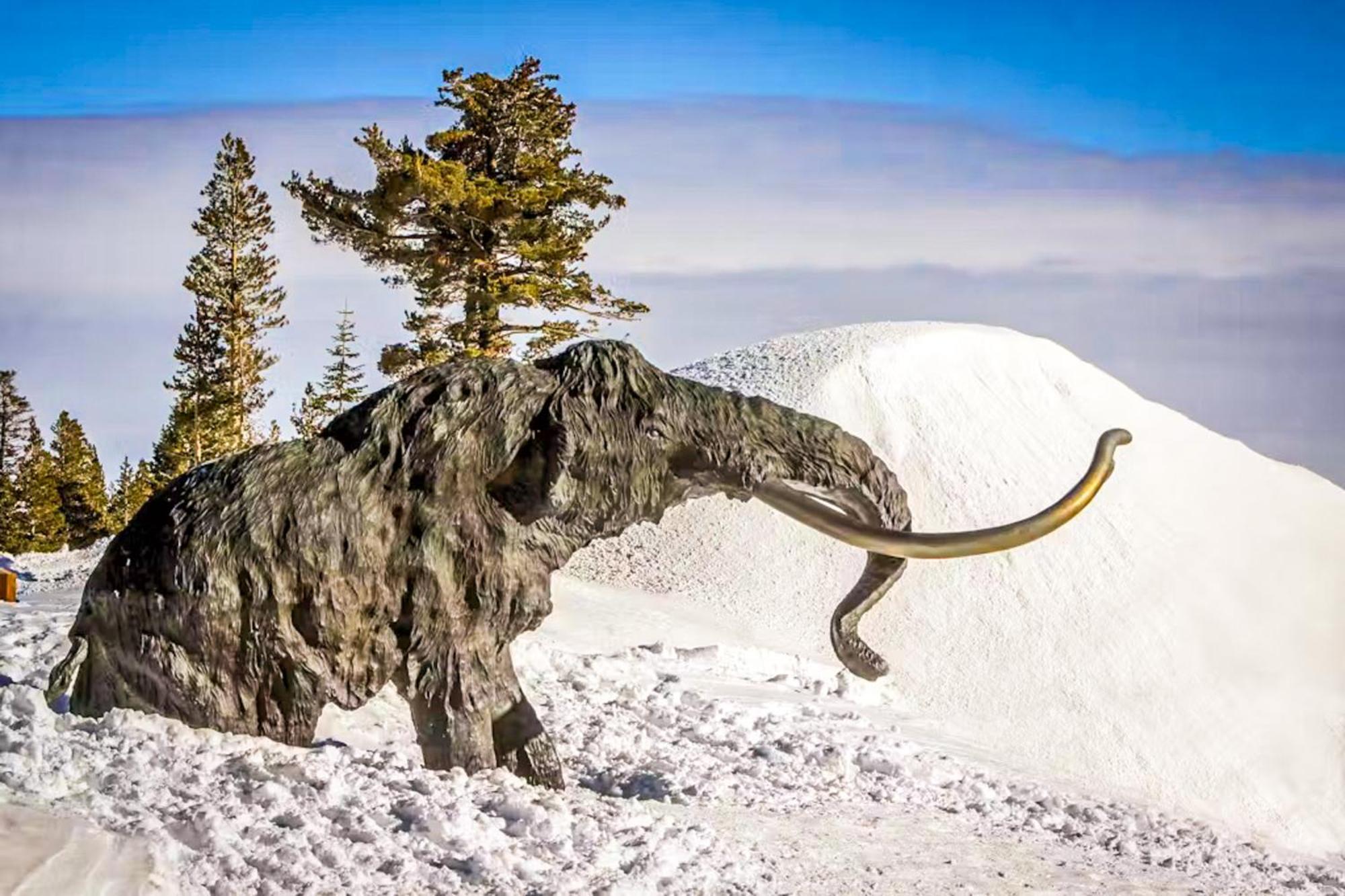 Snowflower 21 Mammoth Lakes Exterior foto
